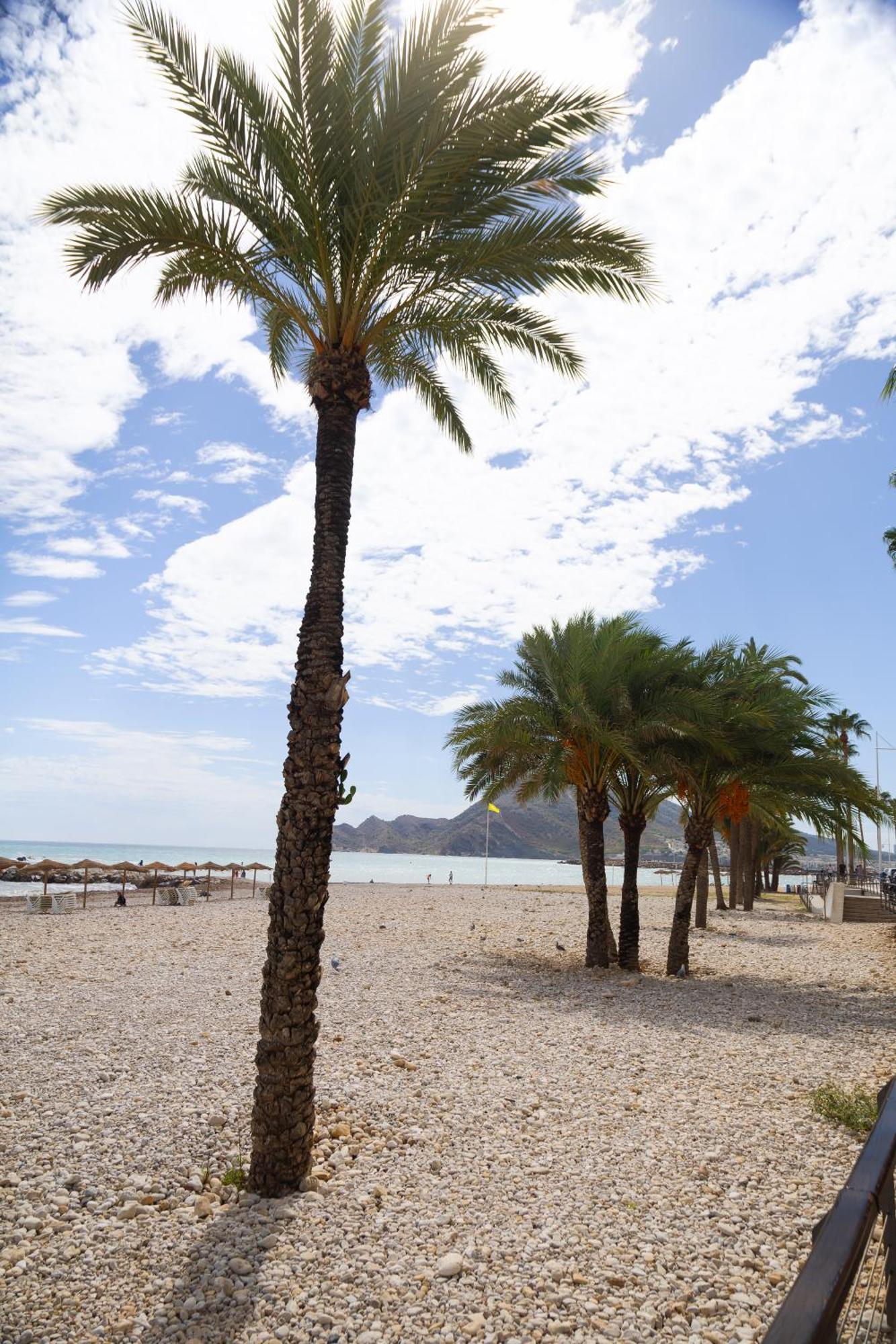 El Toro Apartments Altea Zewnętrze zdjęcie